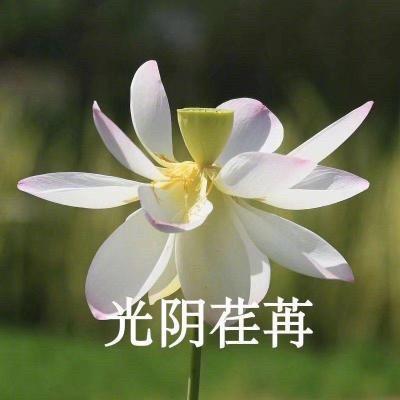 难说