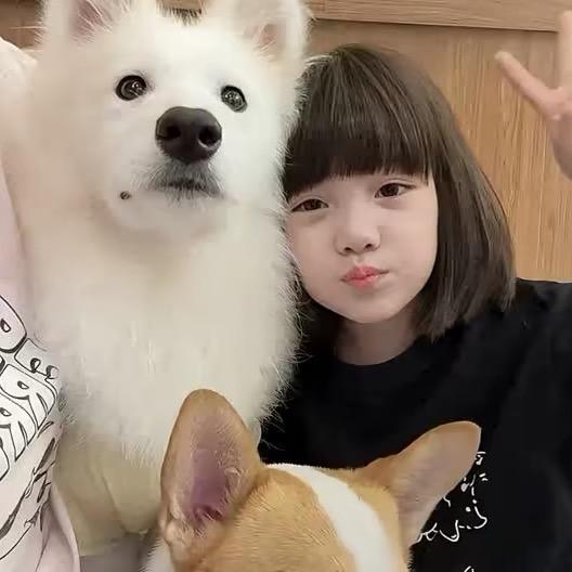 后天见