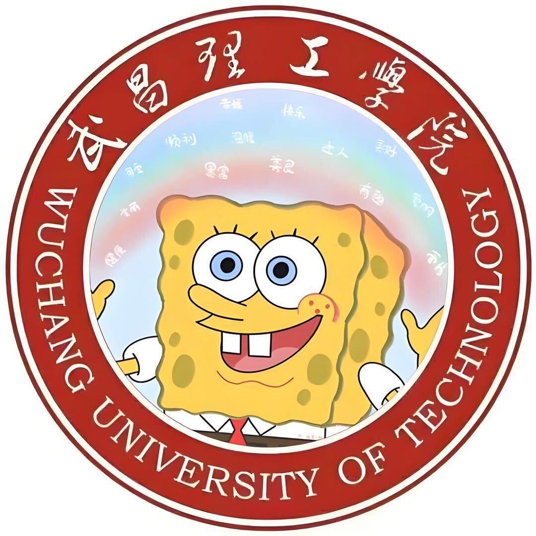 武昌理工学院墙子