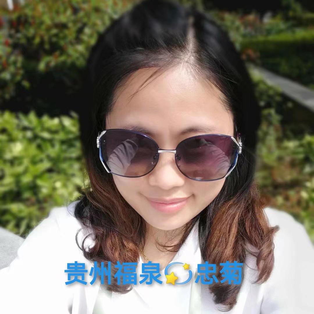 贵州福泉💫忠菊