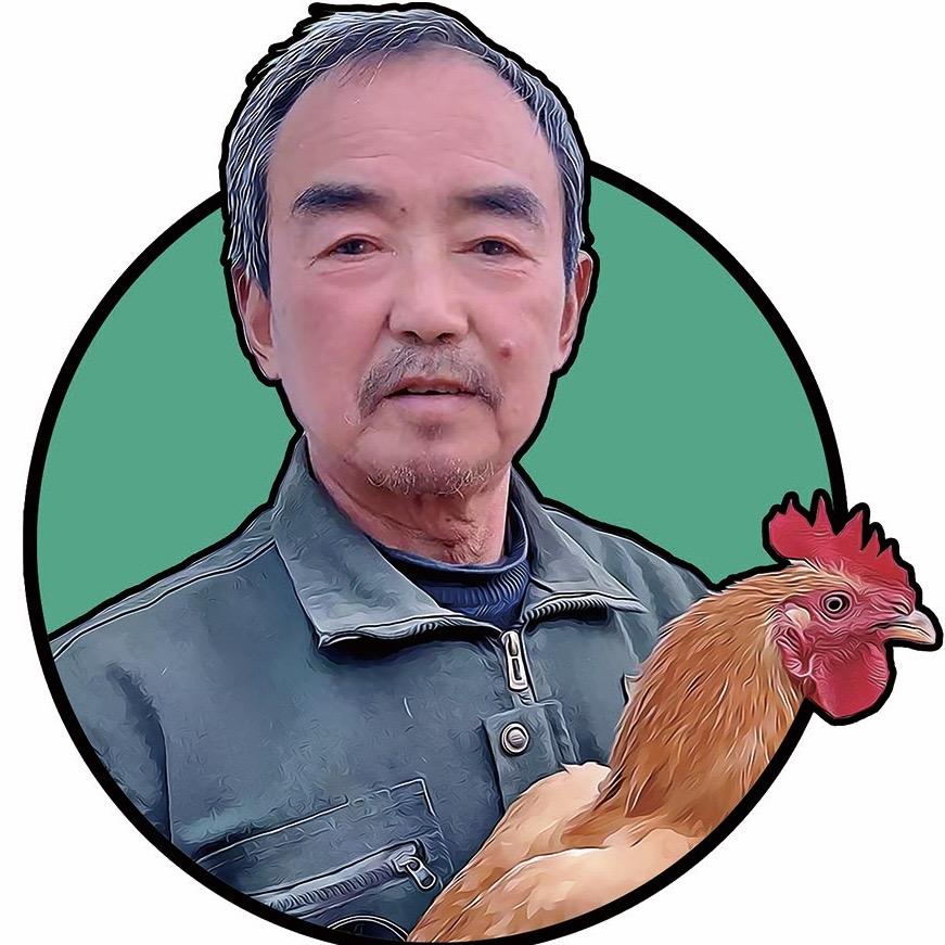 老赵草鸡