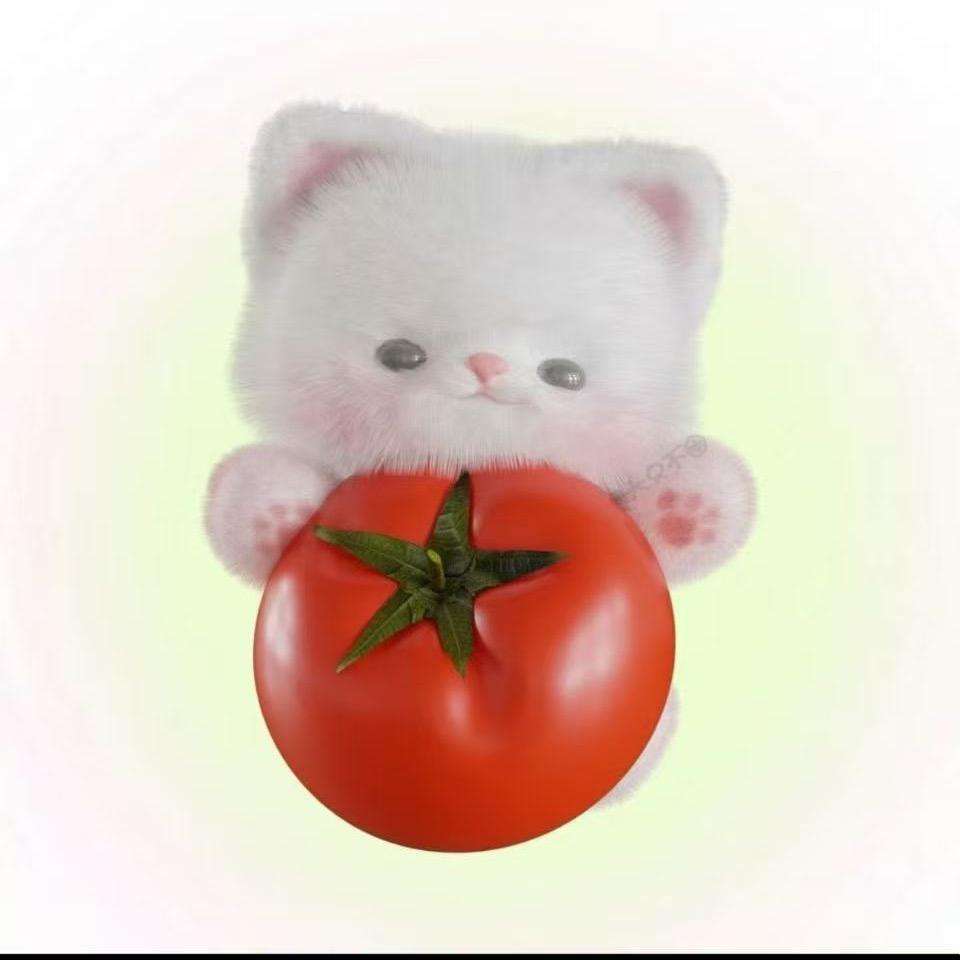 邪恶小番茄🍅