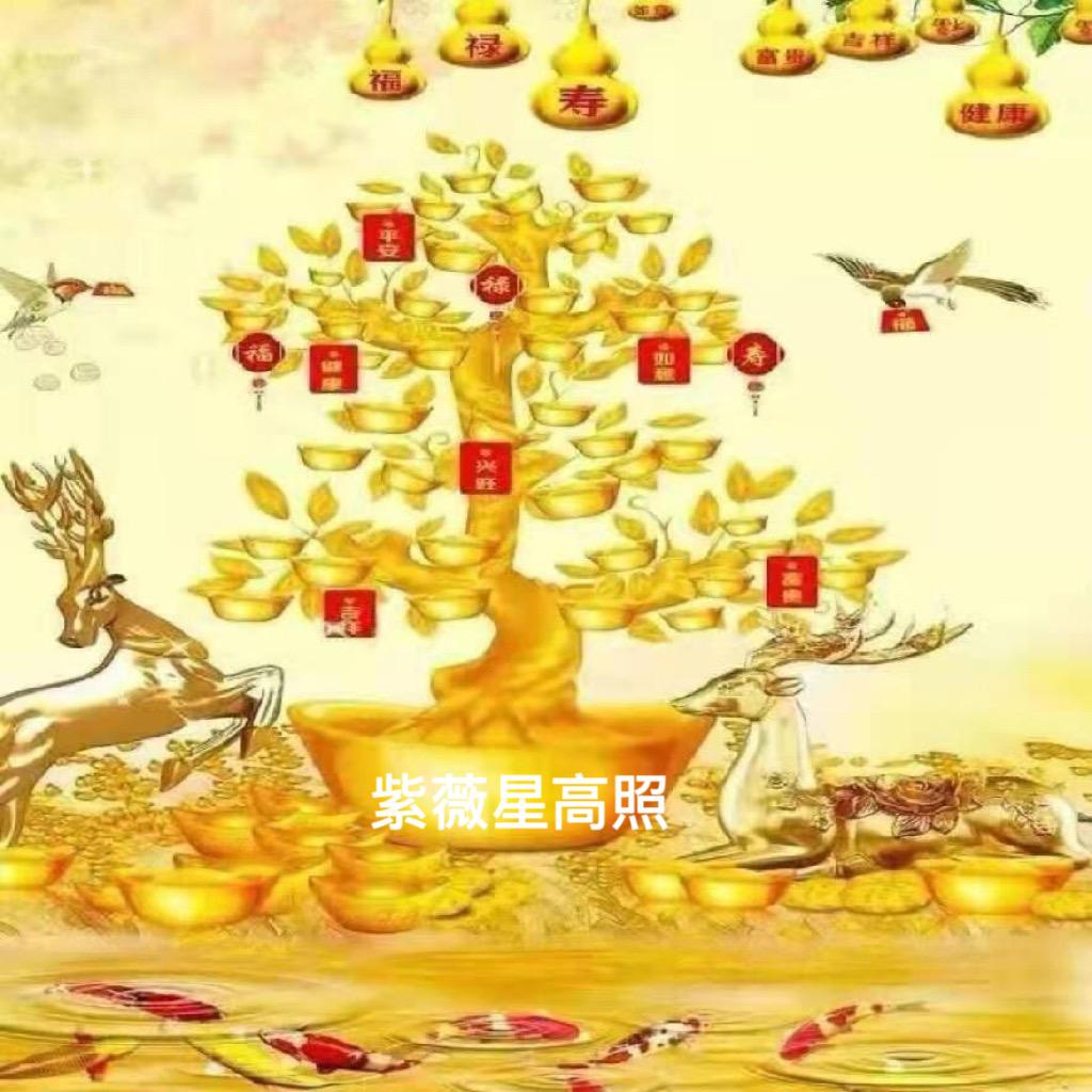 紫薇星高照