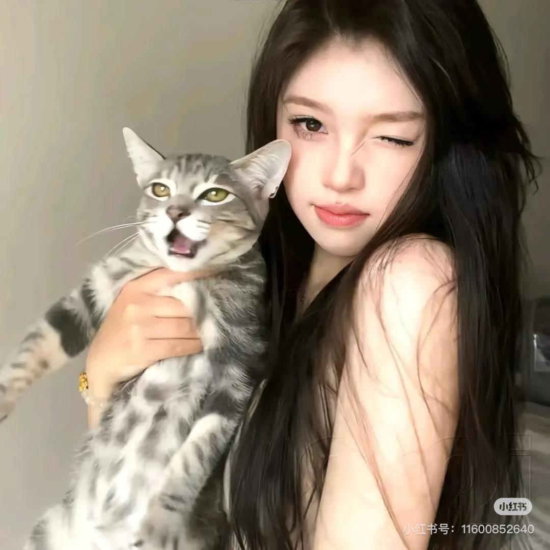 柯南短剧