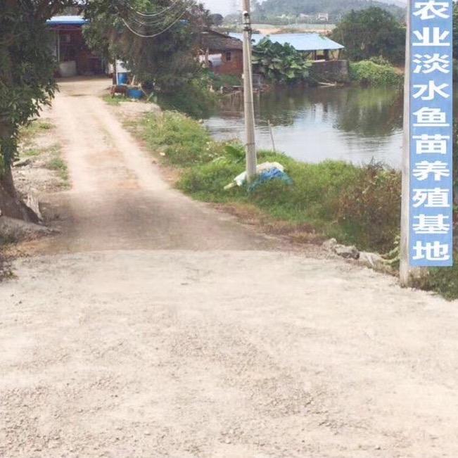 铂坤烨淡水鱼类店