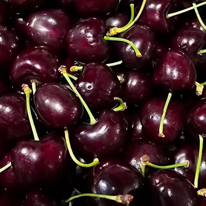 进口水果✈️（吉制车里子）