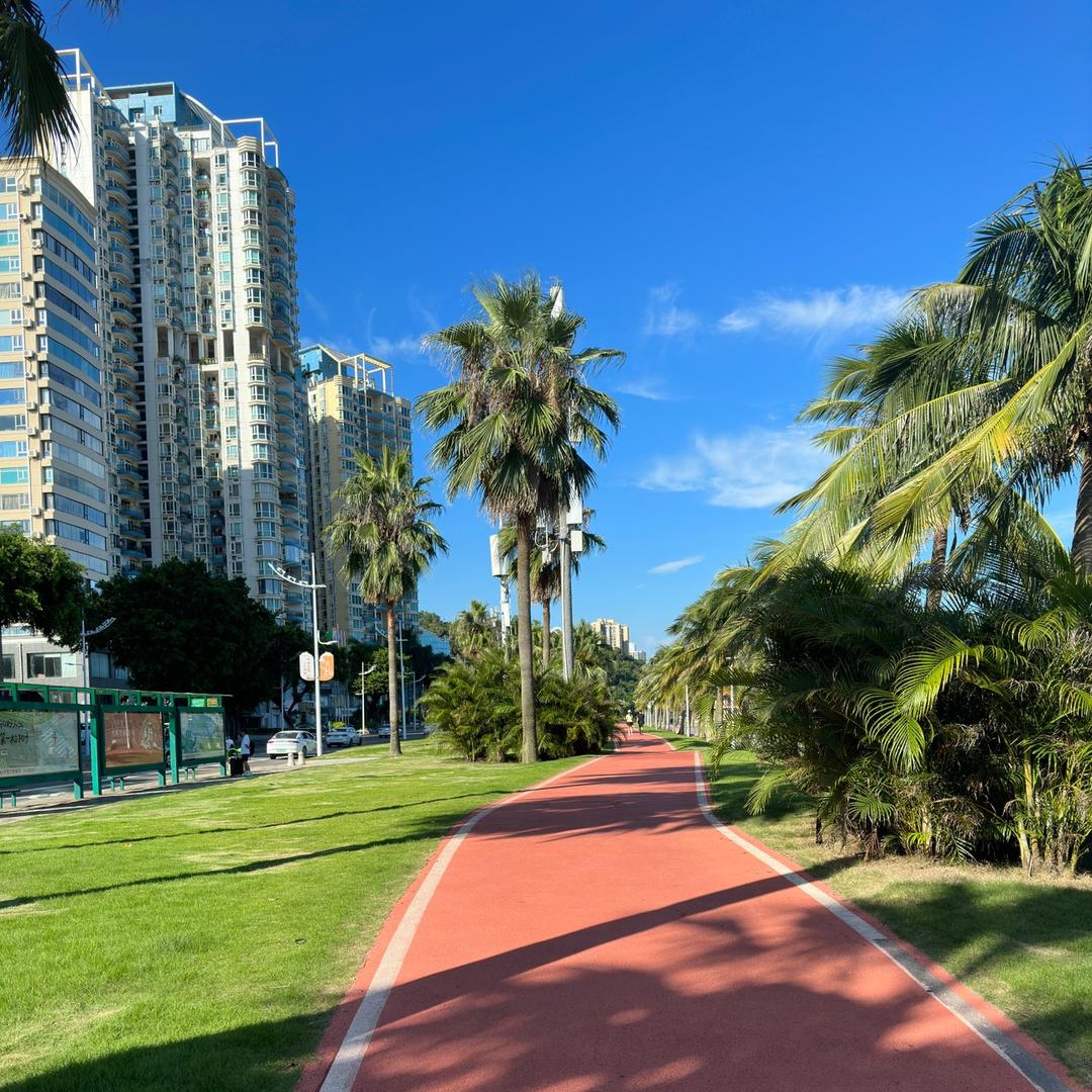 @楠楠同学