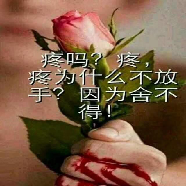 望龙行天下