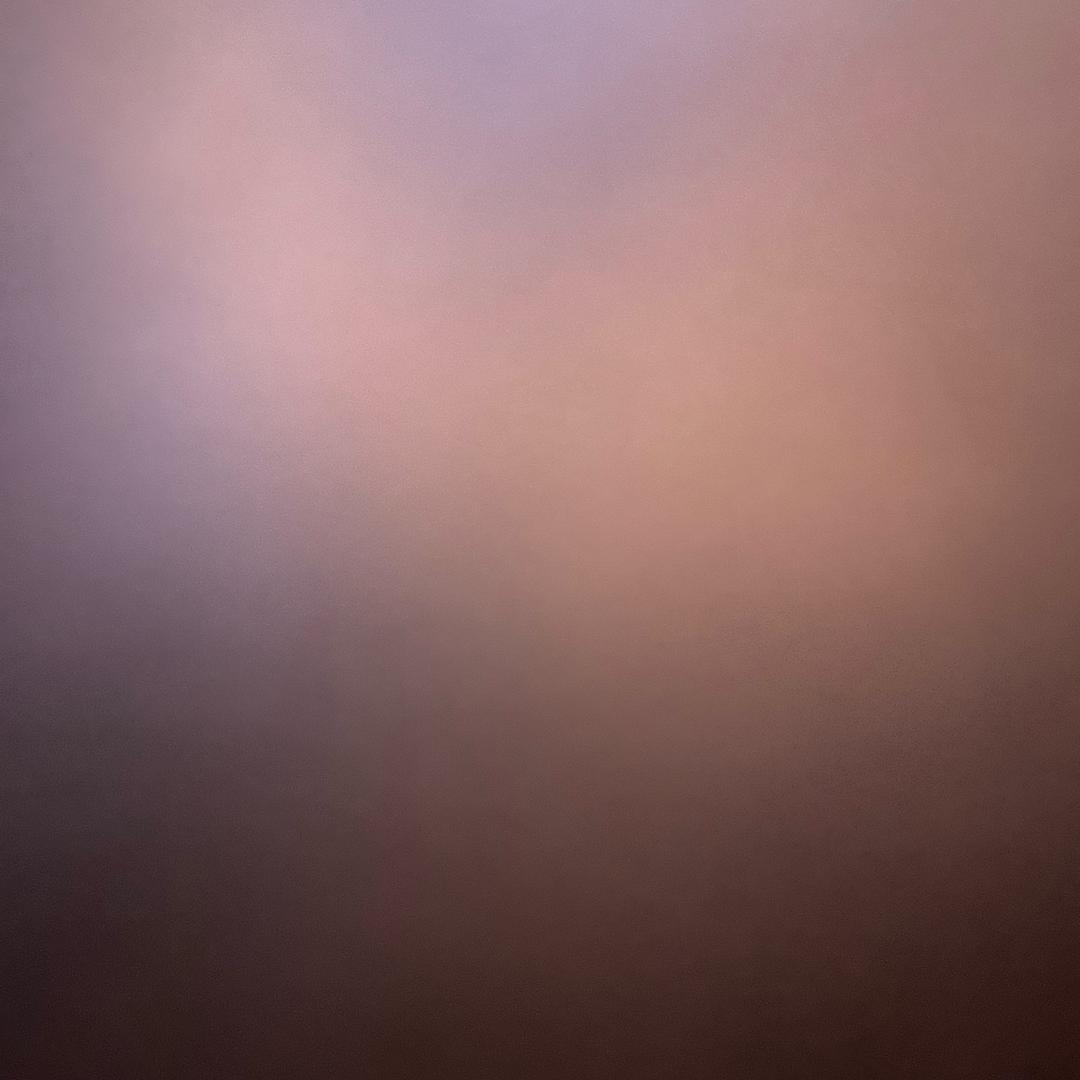 55293