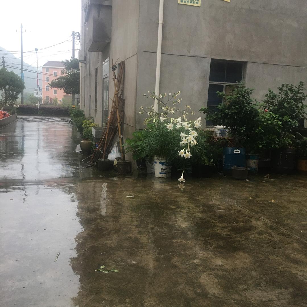 卖苹果
