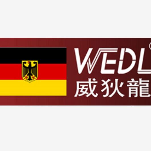 威狄龙WEDL影音旗舰店