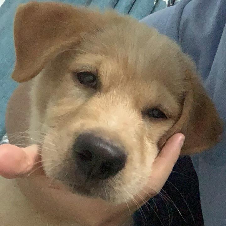 不上完初三不改名！