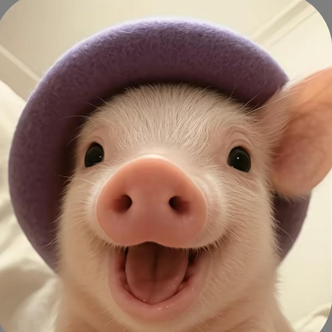 不丑的话也挺帅的