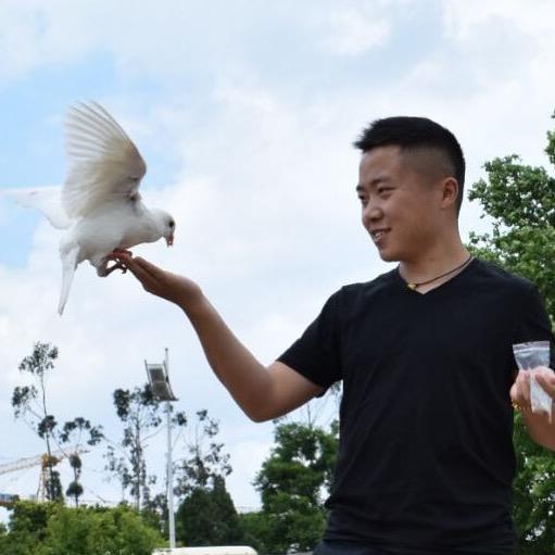秦歌说俗