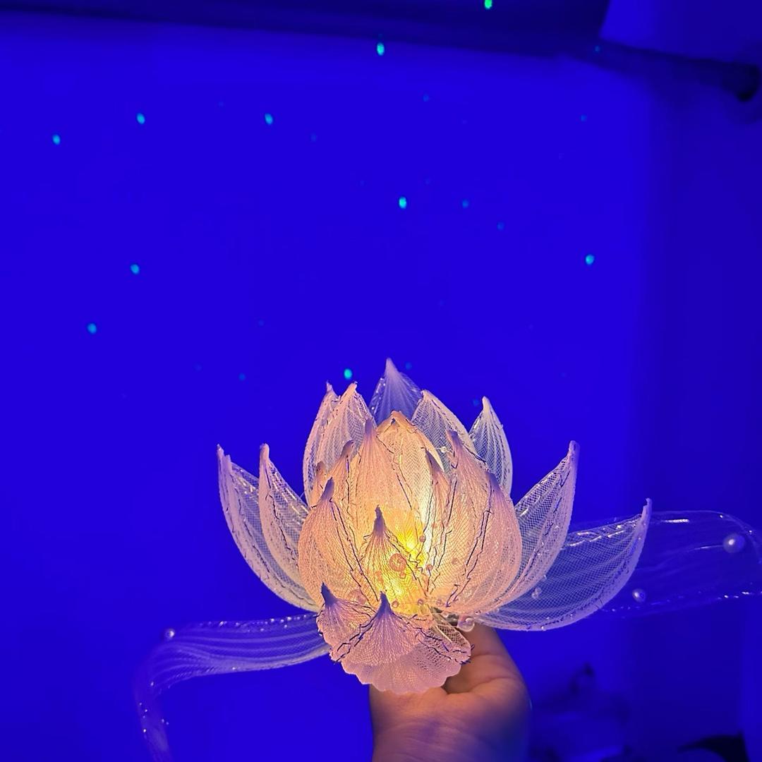 燕燕🪷