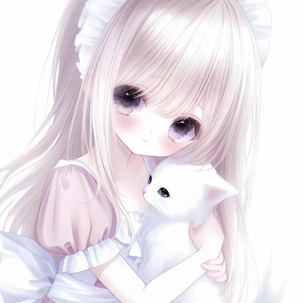 椰椰