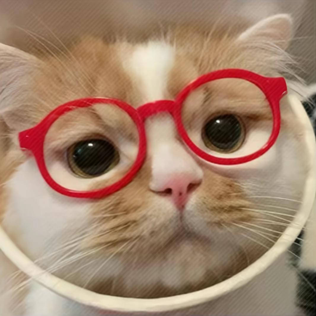 暴躁的马铃薯(190斤版)