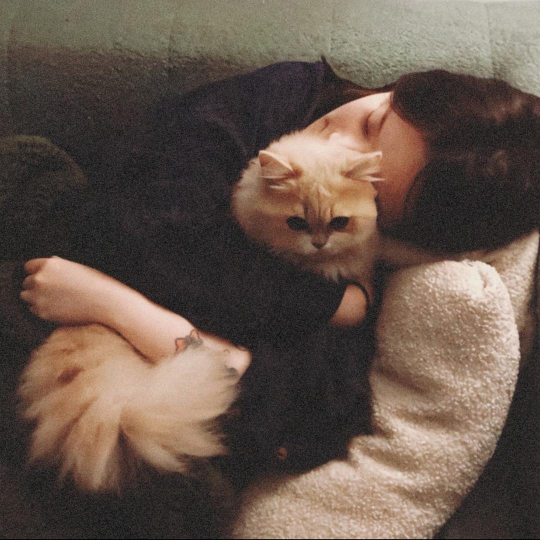 白日猫🐱