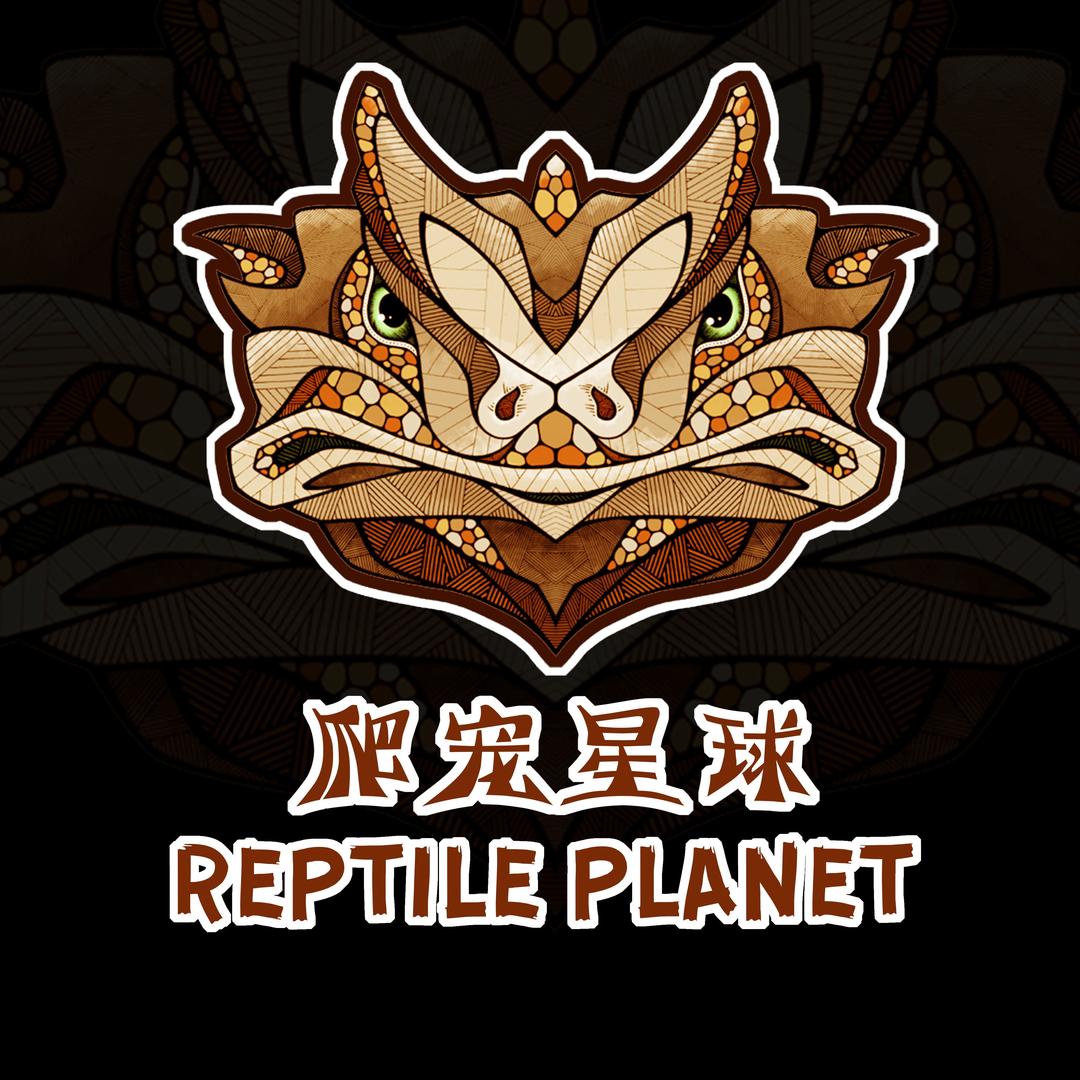 爬宠星球