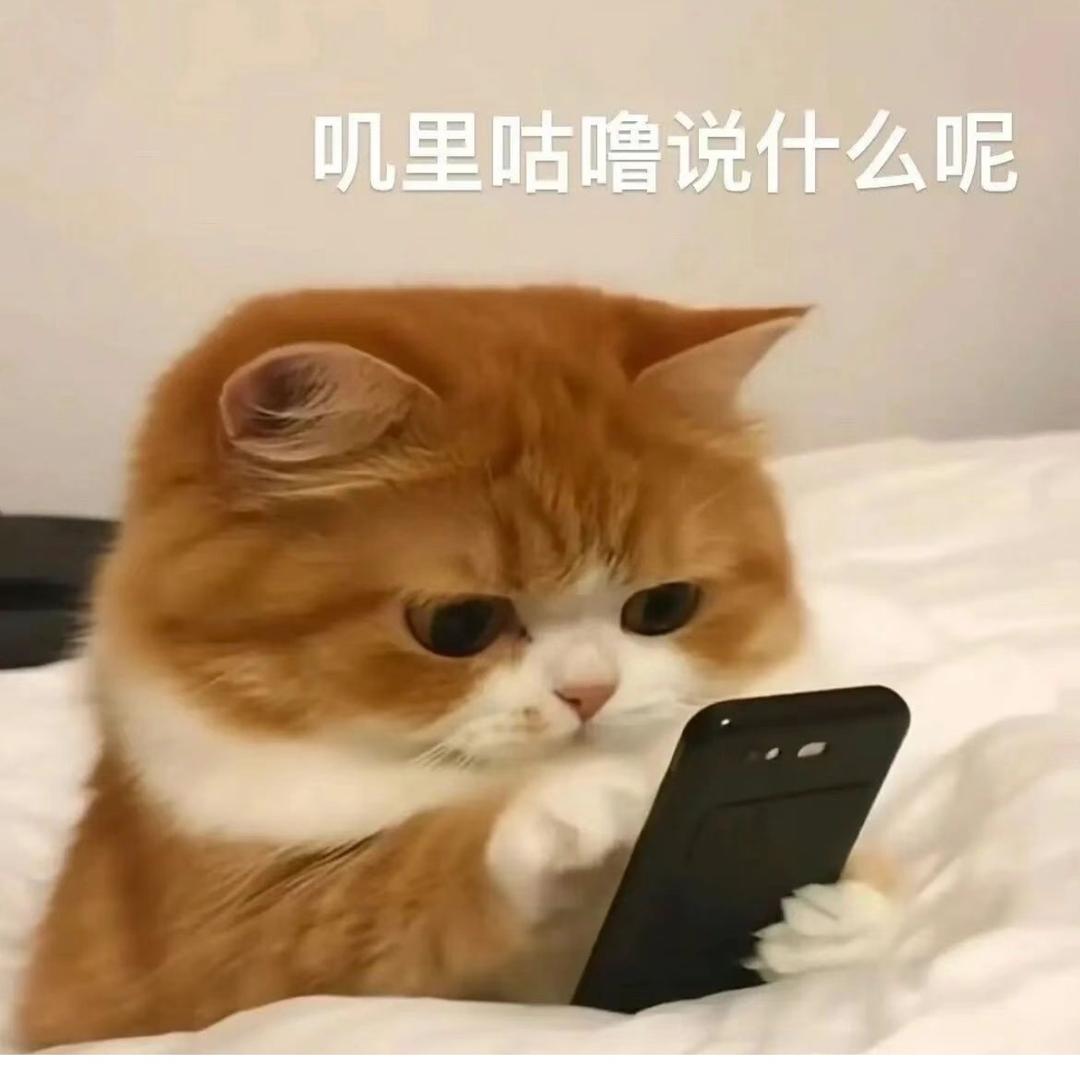 小白 ❤️