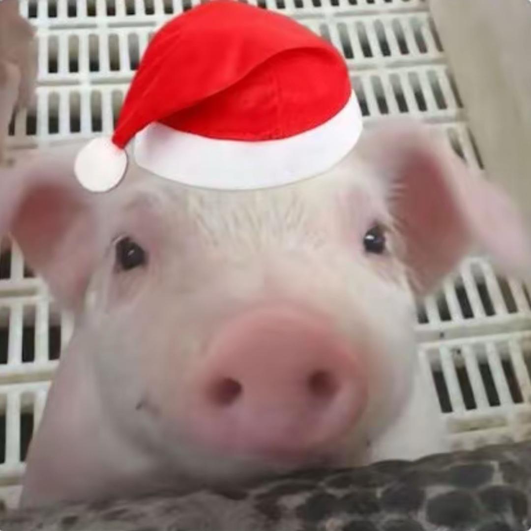 为什么要读出来