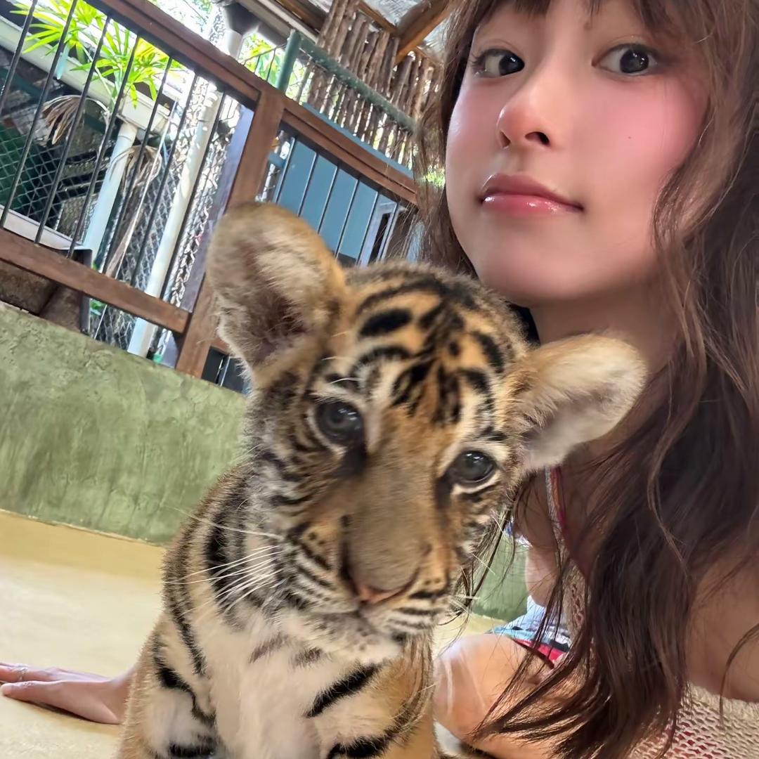 小虎牙🐯