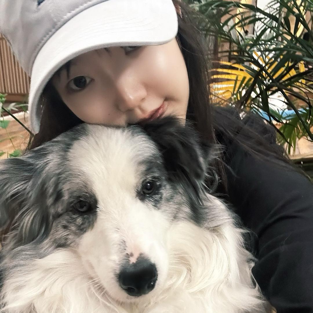 CCT月宠物频道