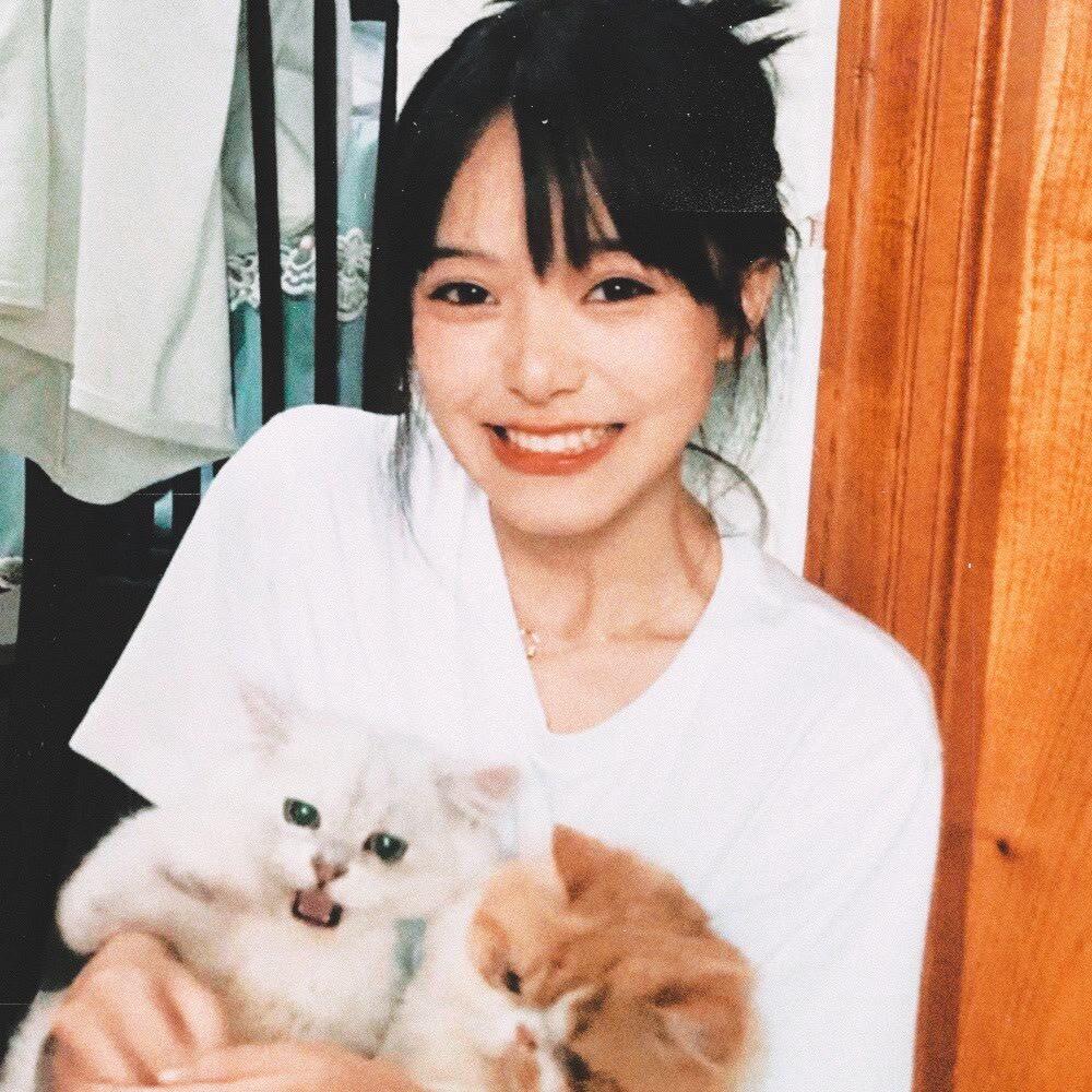 一只小猪owo