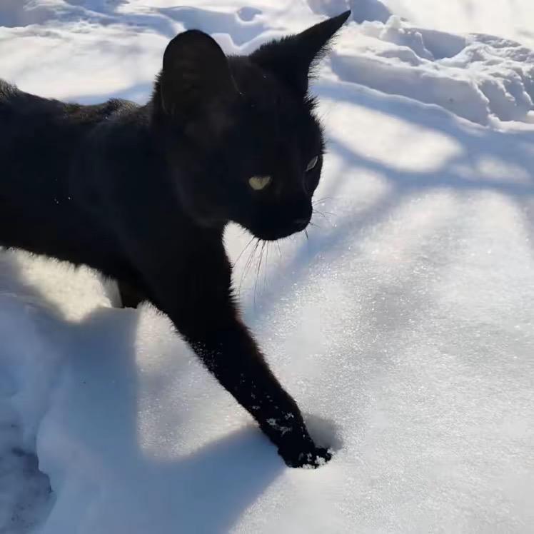 艾米￴￴￴￴ ￴￴