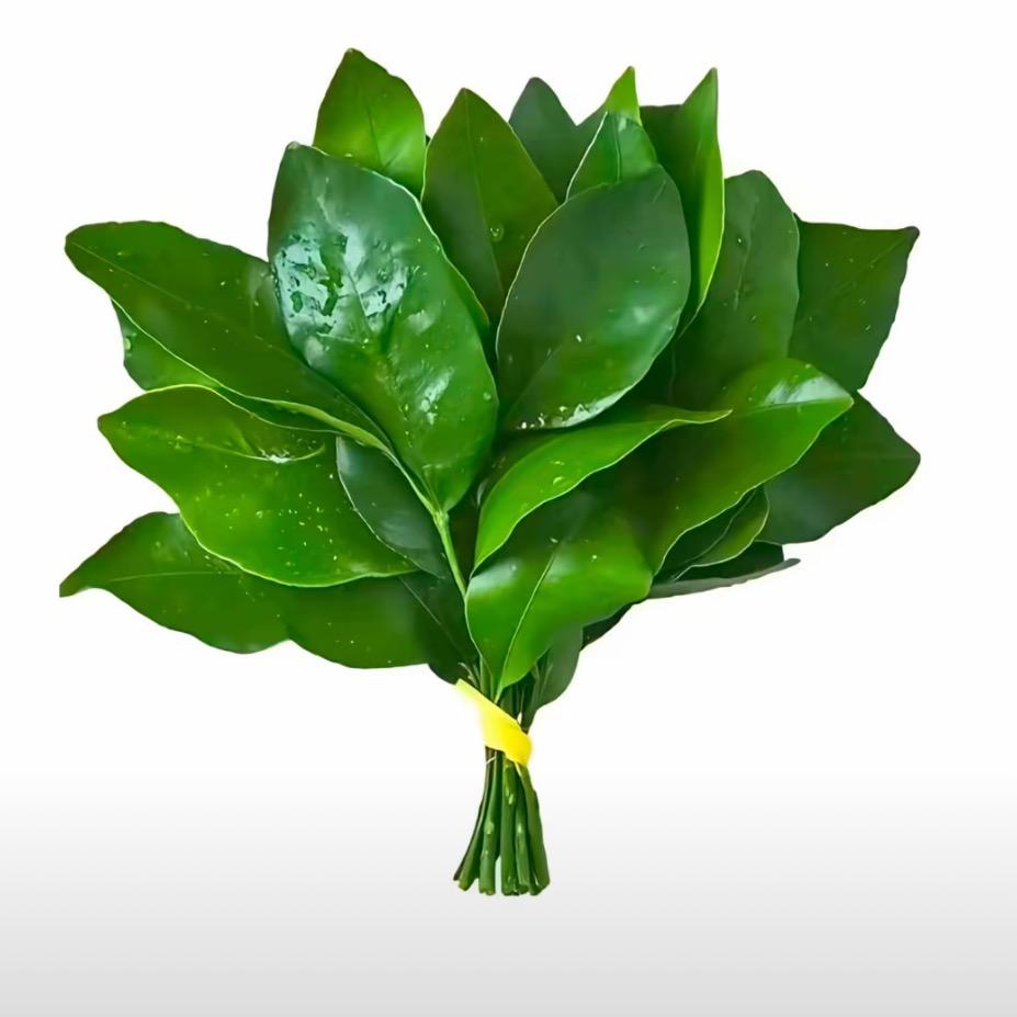 差点长成美女..