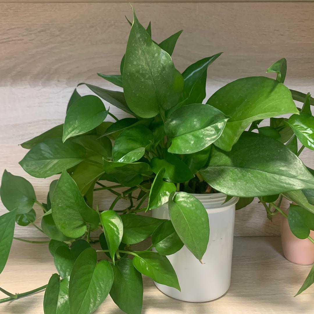 生命不息奋斗不止✊