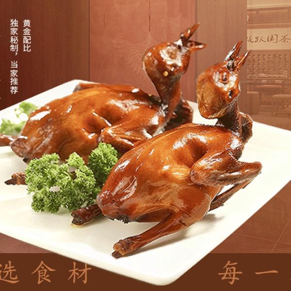 仙桥大山乳鸽