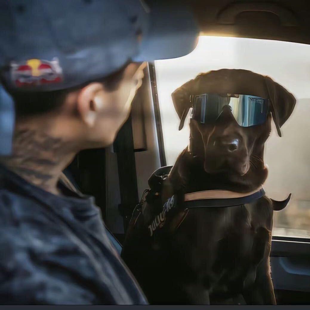 ㅤㅤㅤㅤㅤ￰ ￰ㅤㅤㅤ      ㅤㅤㅤ