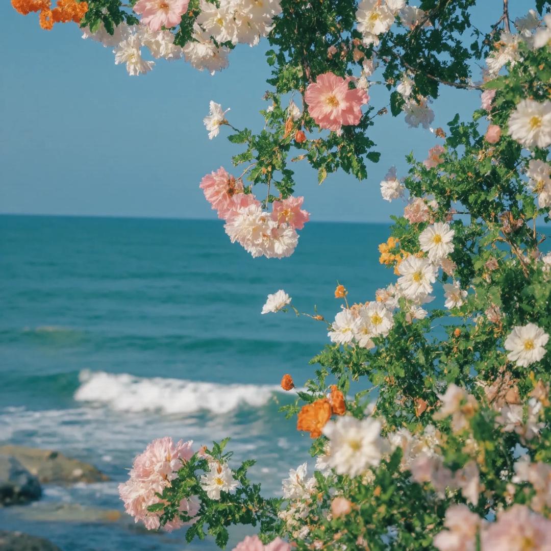 花花❀