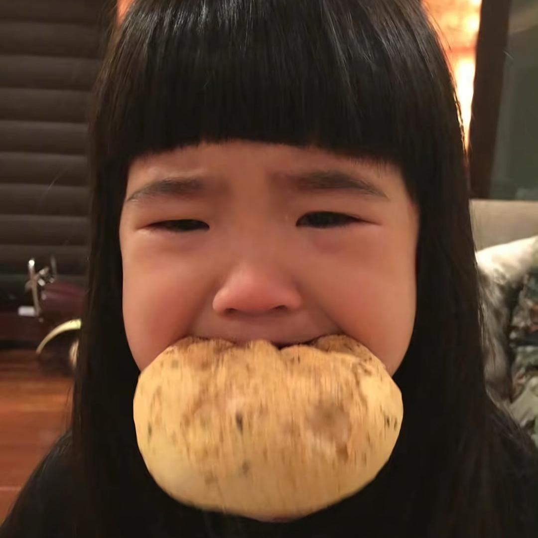 你好我有头猪了