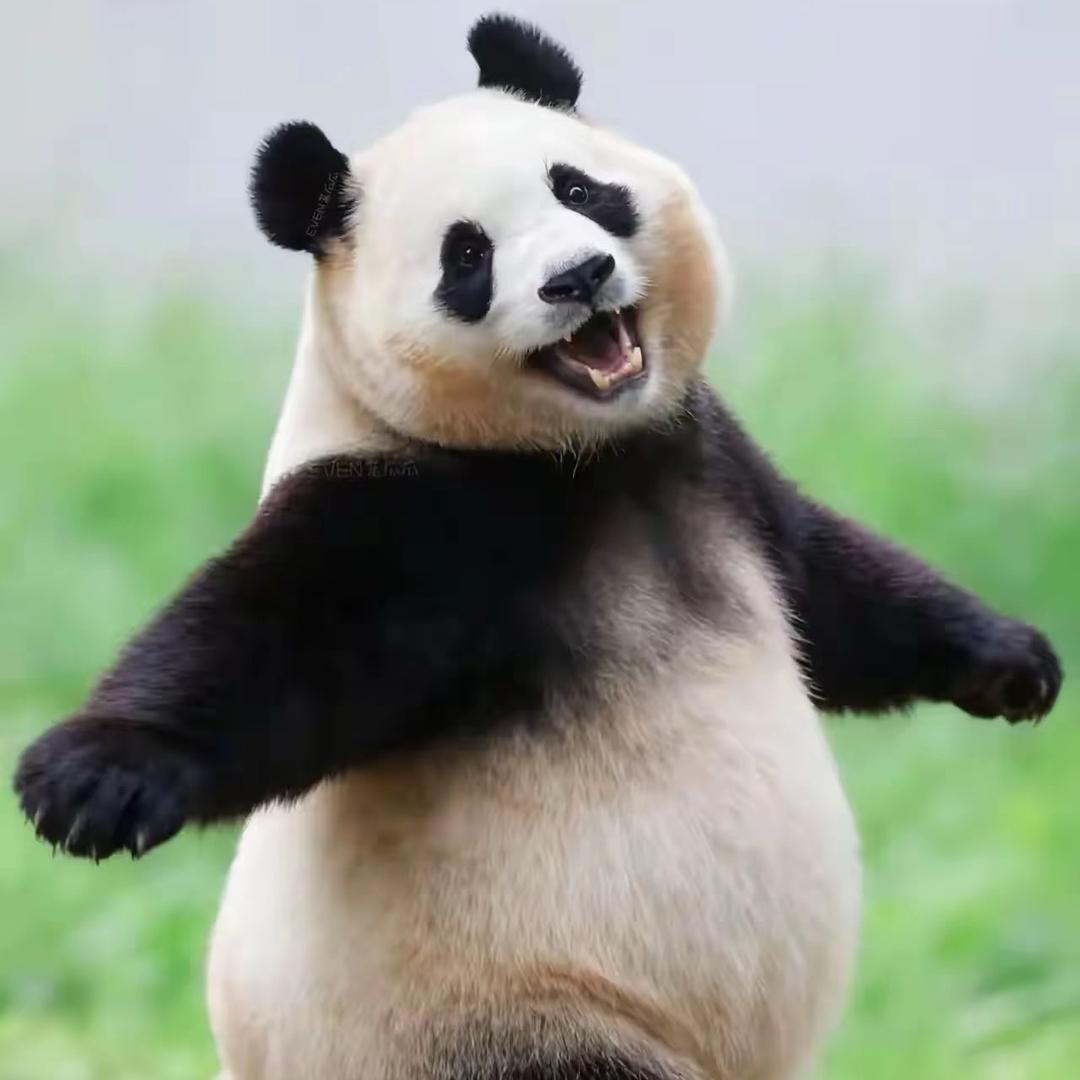 轰一样的女人🦋