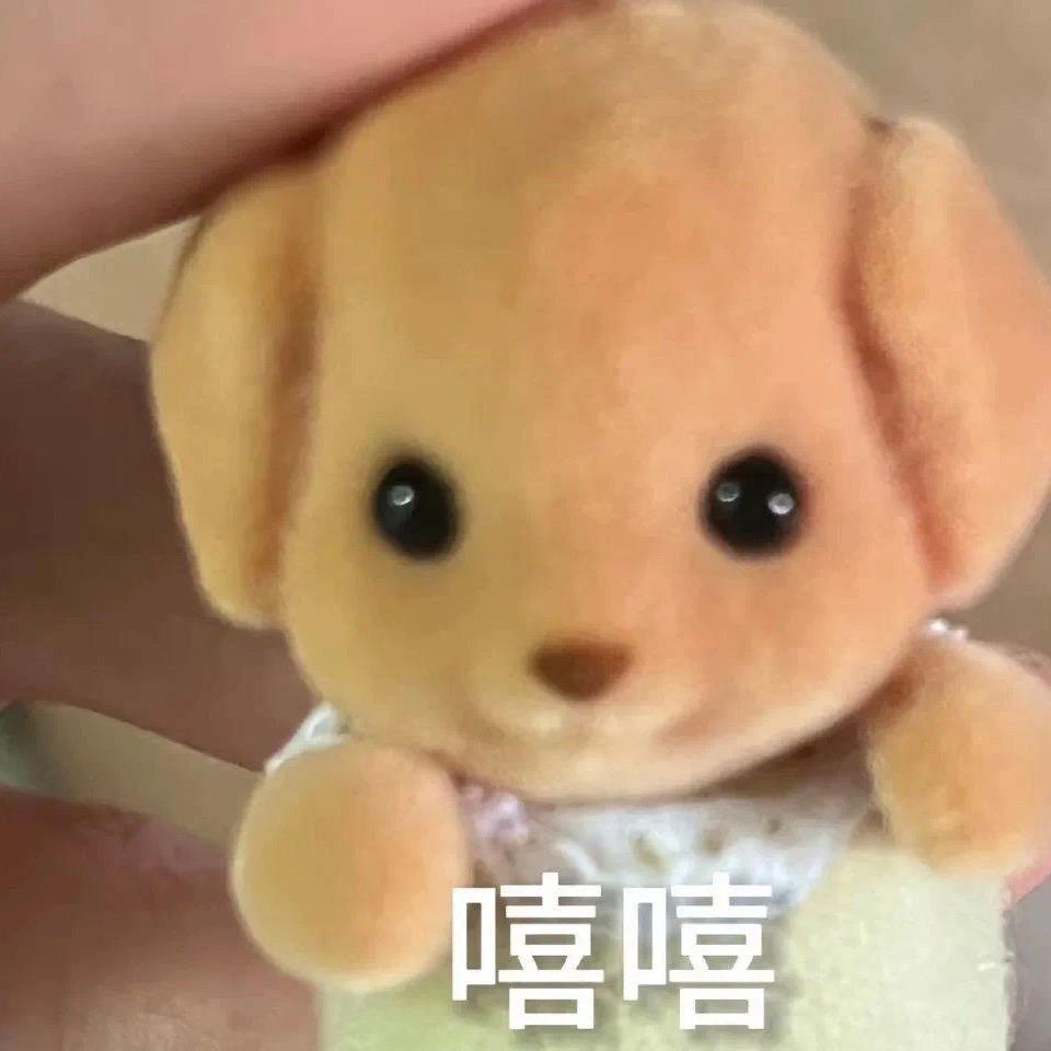 炸🐈‍⬛小1️⃣