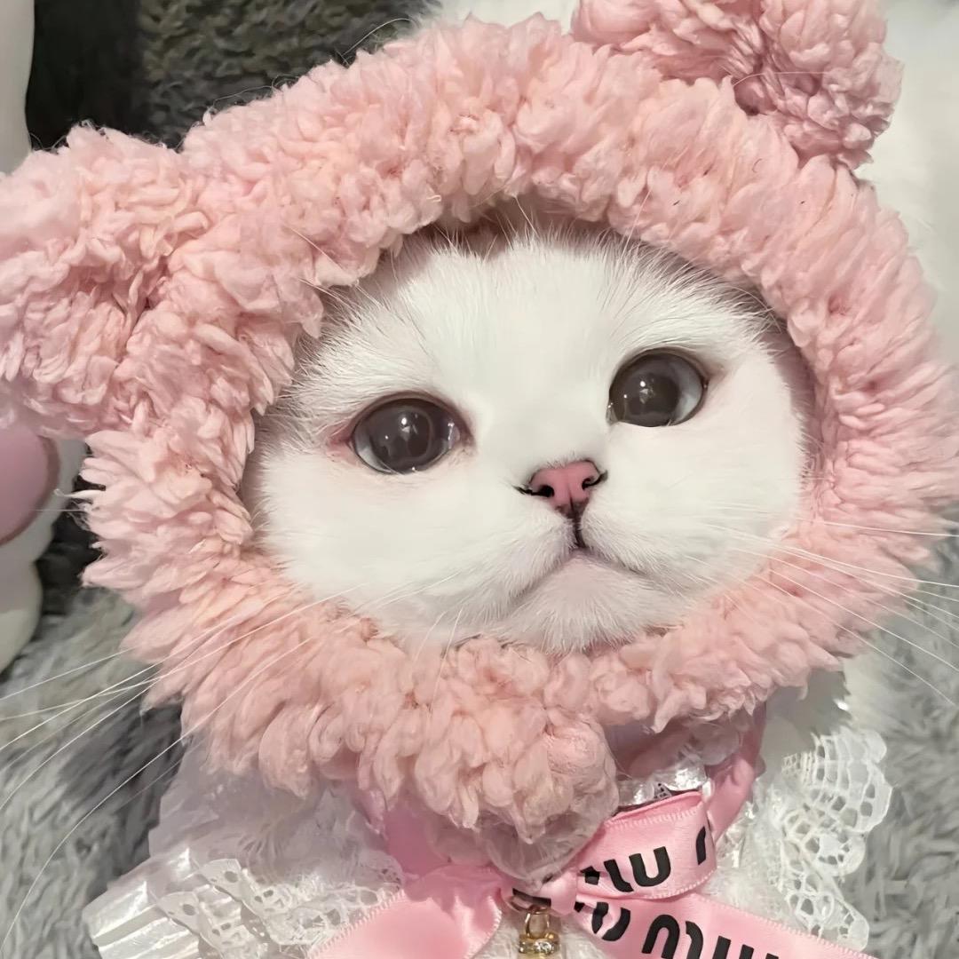 眠花糖