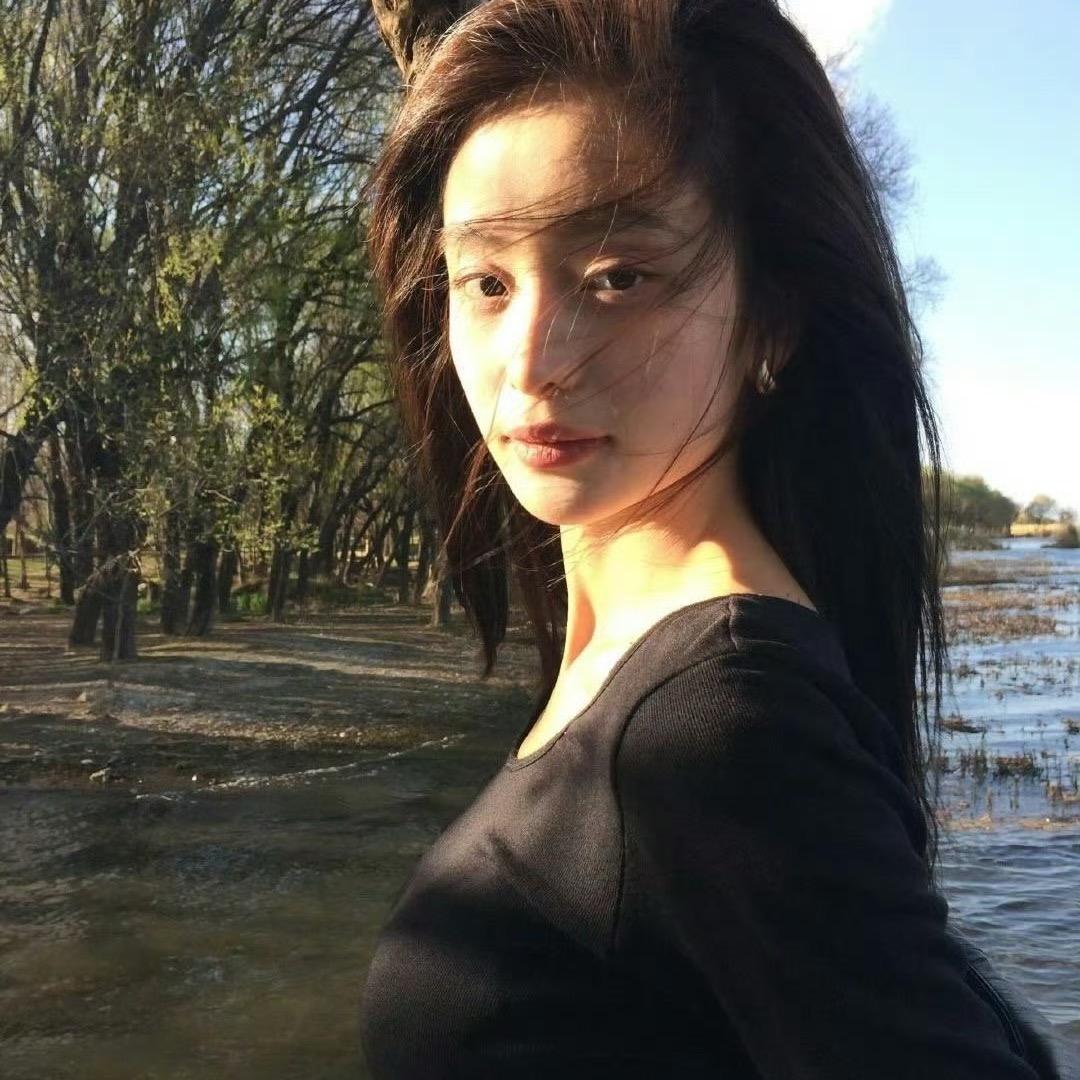 毛史条条