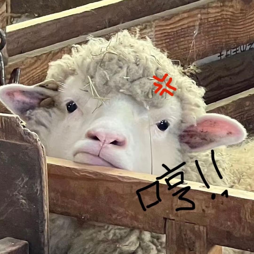 摇摇头