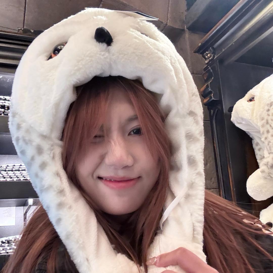 小猪盖被铁锅炖