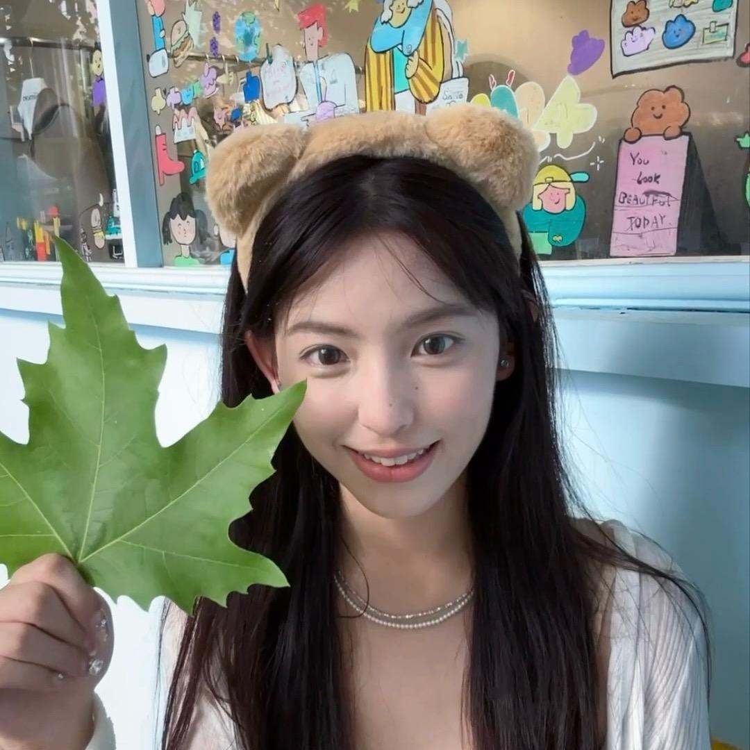 毛豆大王