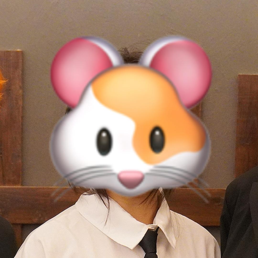鼠鼠Jamster🐹