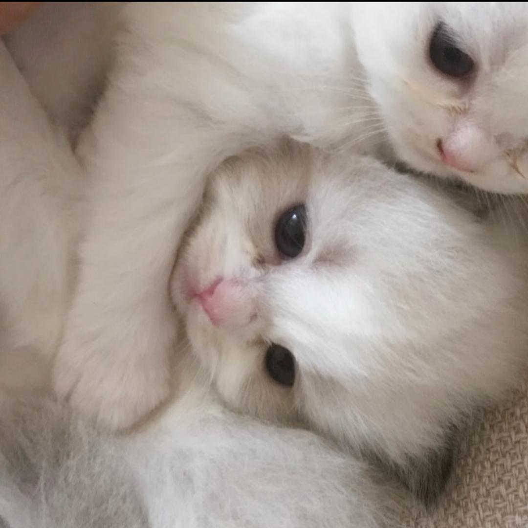 我要瘦瘦的