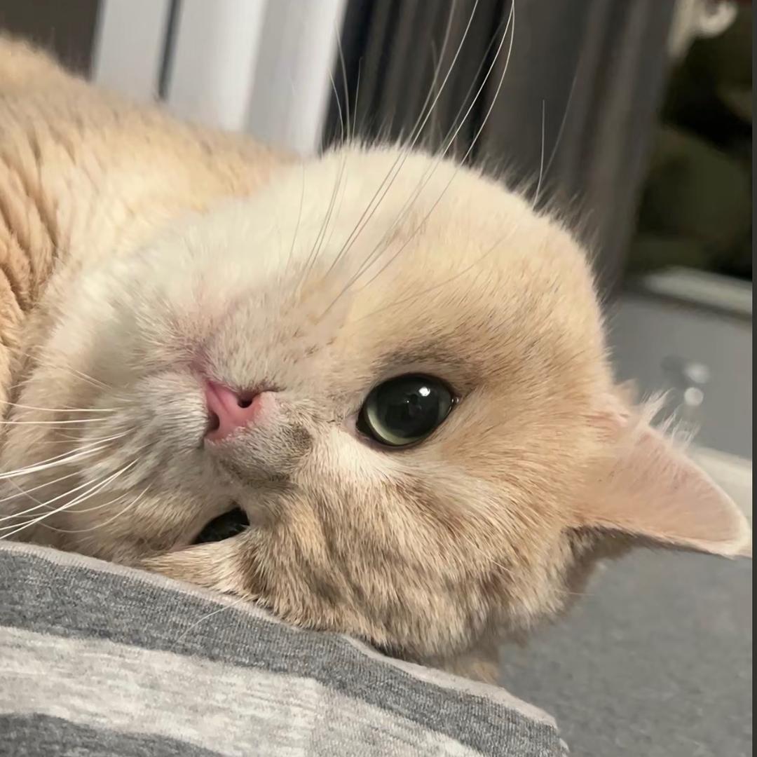 五一是夜猫子