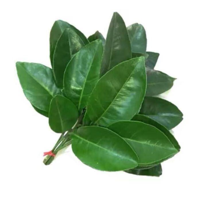 盲审顺利通过！