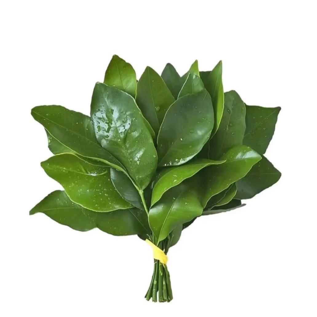 邪恶马铃薯