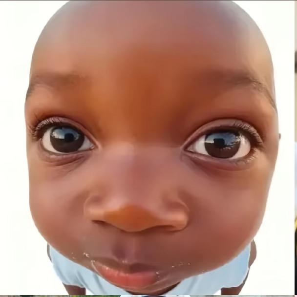 这个我是真想吃