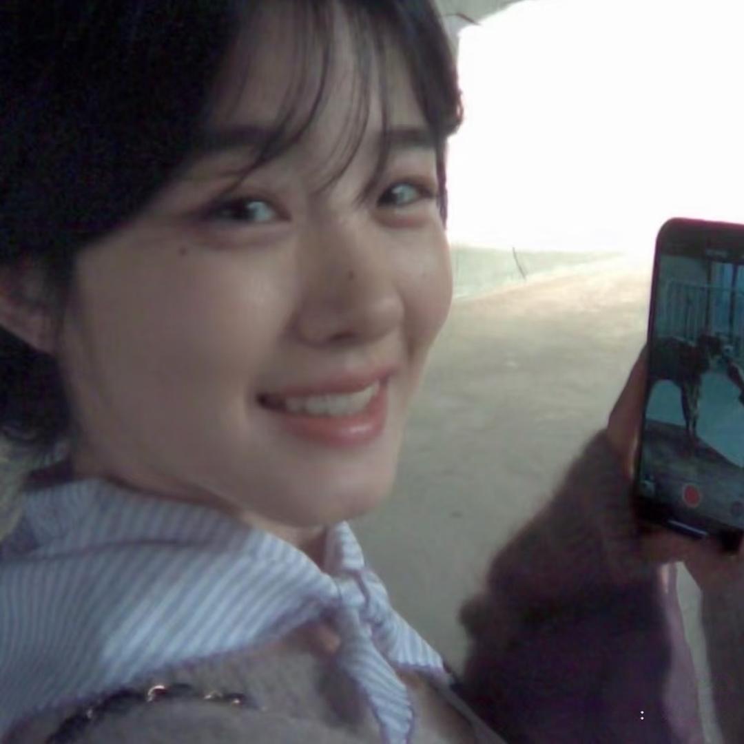 希望所有流浪猫都被善待