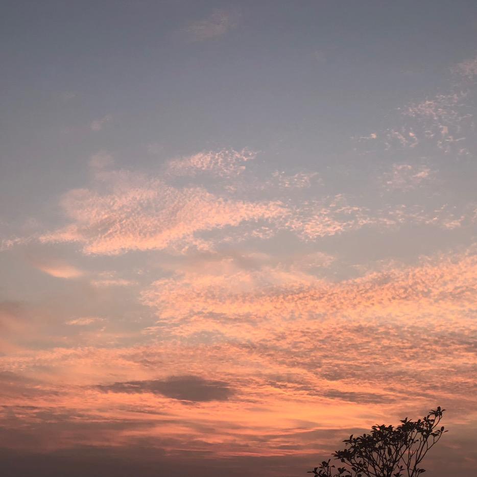 彬式乔文化传媒工作室